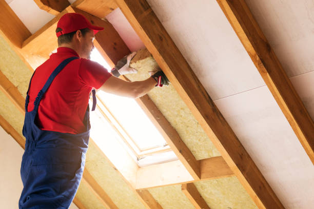 Best Eco-Friendly or Green Insulation Solutions  in Warsaw, MO